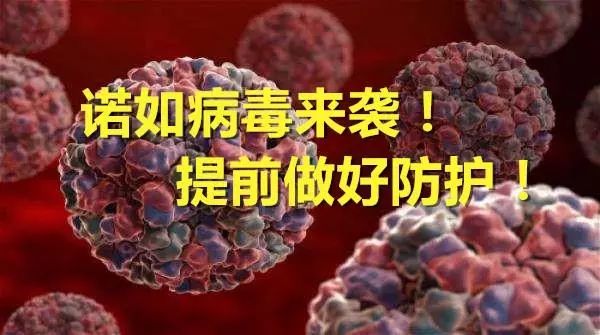 ŵ粡Ϯ ǰ÷